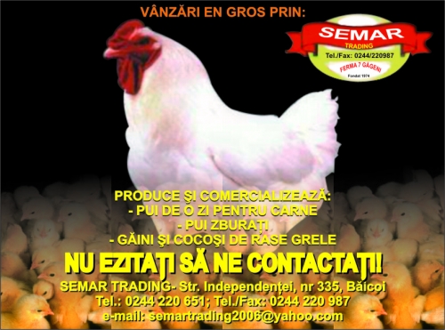 SEMAR TRADING SRL