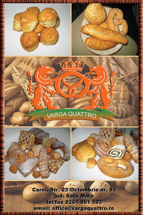 Prezentare grafica
