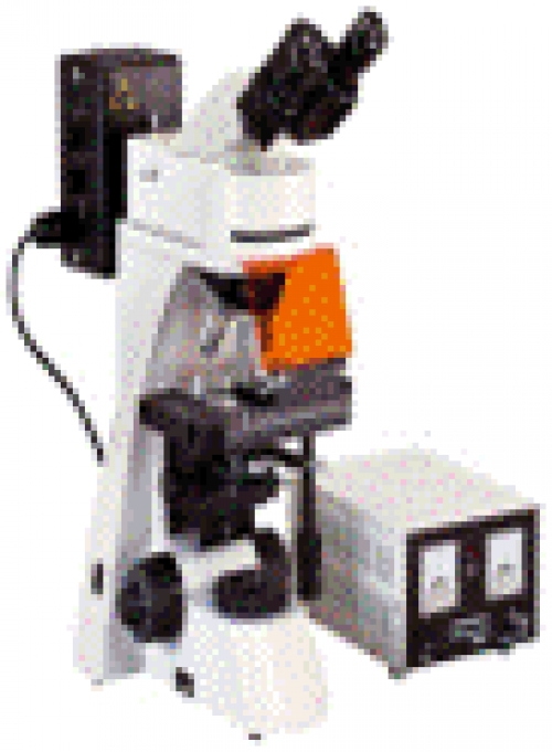 Microscop Fluorescenta - FLUO 2