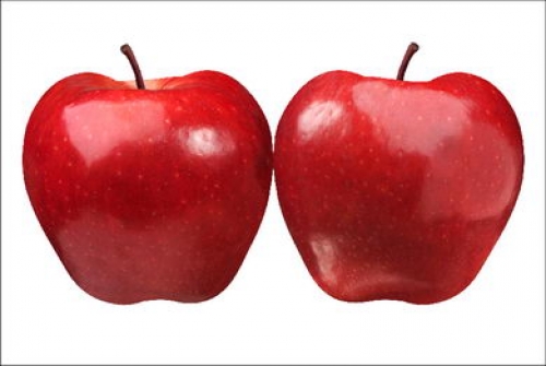 SUCMEROM