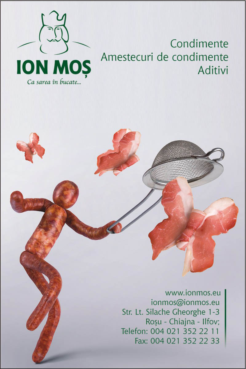 ION MOS SRL